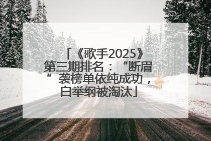 《歌手2025》第三期排名：“断眉”袭榜单依纯成功，白举纲被淘汰