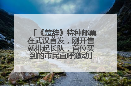 《楚辞》特种邮票在武汉首发，刚开售就排起长队，首位买到的市民直呼激动