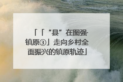 「“县”在图强·镇原③」走向乡村全面振兴的镇原轨迹