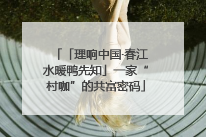 「理响中国·春江水暖鸭先知」一家“村咖”的共富密码