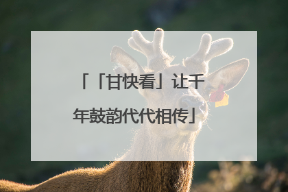 「甘快看」让千年鼓韵代代相传