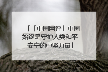「中国网评」中国始终是守护人类和平安宁的中坚力量