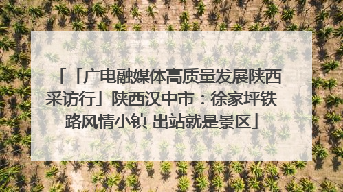「广电融媒体高质量发展陕西采访行」陕西汉中市：徐家坪铁路风情小镇 出站就是景区