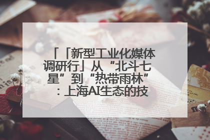 「新型工业化媒体调研行」从“北斗七星”到“热带雨林”：上海AI生态的技术商业共生密码
