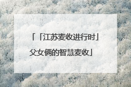 「江苏麦收进行时」父女俩的智慧麦收