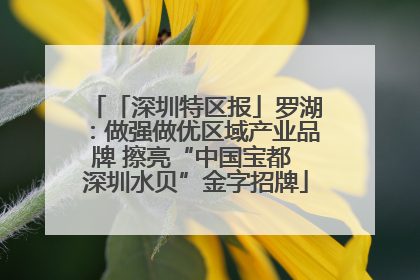 「深圳特区报」罗湖：做强做优区域产业品牌 擦亮“中国宝都 深圳水贝”金字招牌