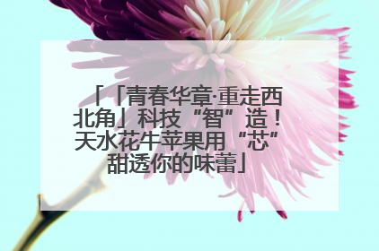 「青春华章·重走西北角」科技“智”造！天水花牛苹果用“芯”甜透你的味蕾