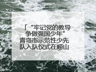 “牢记党的教导 争做强国少年”青岛市示范性少先队入队仪式在崂山区举办