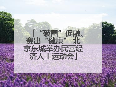 “破圈”促融、赛出“健康” 北京东城举办民营经济人士运动会