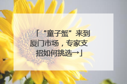 “童子蟹”来到厦门市场，专家支招如何挑选→