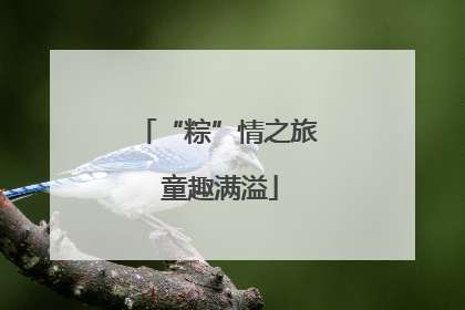“粽”情之旅 童趣满溢