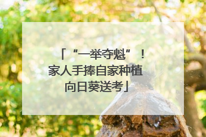 “一举夺魁”！家人手捧自家种植向日葵送考