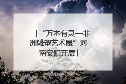 “万木有灵—非洲雕塑艺术展”河南安阳开展