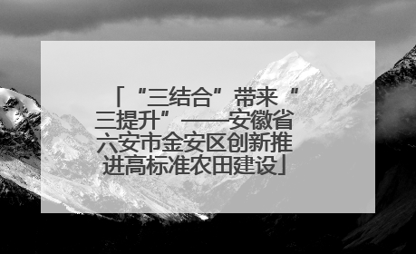 “三结合”带来“三提升”——安徽省六安市金安区创新推进高标准农田建设