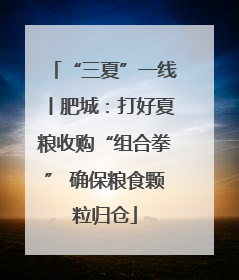 “三夏”一线丨肥城：打好夏粮收购“组合拳” 确保粮食颗粒归仓
