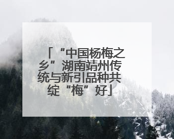 “中国杨梅之乡”湖南靖州传统与新引品种共绽“梅”好