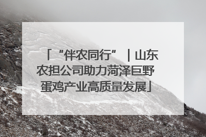 “伴农同行”｜山东农担公司助力菏泽巨野蛋鸡产业高质量发展