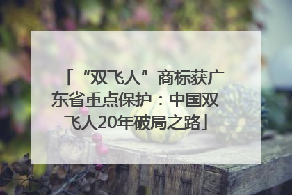 “双飞人”商标获广东省重点保护：中国双飞人20年破局之路