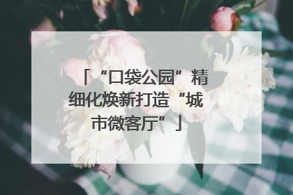 “口袋公园”精细化焕新打造“城市微客厅”