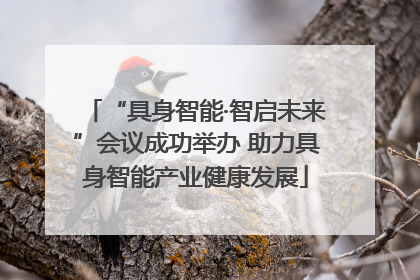 “具身智能·智启未来”会议成功举办 助力具身智能产业健康发展