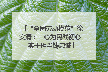 “全国劳动模范”徐安清：一心为民践初心 实干担当铸忠诚