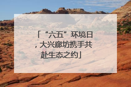 “六五”环境日，大兴廊坊携手共赴生态之约