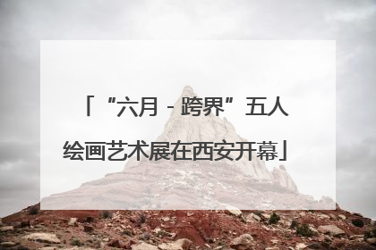 “六月 - 跨界”五人绘画艺术展在西安开幕