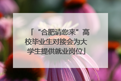“合肥请您来”高校毕业生对接会为大学生提供就业岗位