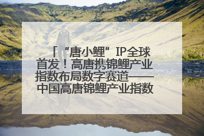 “唐小鲤”IP全球首发！高唐携锦鲤产业指数布局数字赛道——中国高唐锦鲤产业指数暨“唐小鲤”IP全球首发仪式在杭州举行