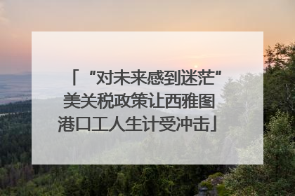 “对未来感到迷茫” 美关税政策让西雅图港口工人生计受冲击