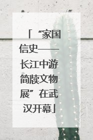 “家国信史——长江中游简牍文物展”在武汉开幕