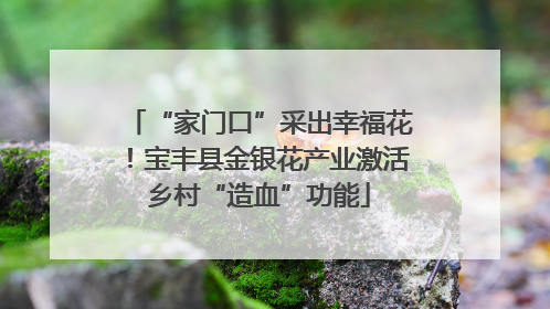“家门口”采出幸福花！宝丰县金银花产业激活乡村“造血”功能