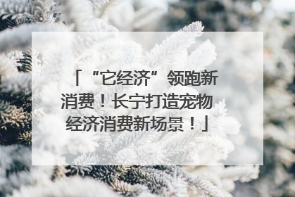 “它经济”领跑新消费！长宁打造宠物经济消费新场景！