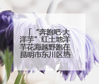 “奔跑吧·大洋芋”红土地洋芋花海越野跑在昆明市东川区热力开跑