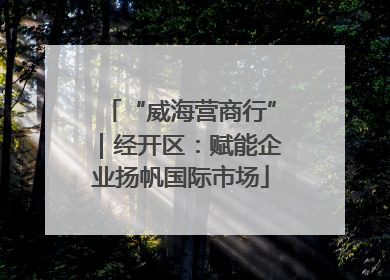 “威海营商行”｜经开区：赋能企业扬帆国际市场