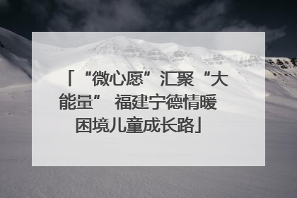 “微心愿”汇聚“大能量” 福建宁德情暖困境儿童成长路