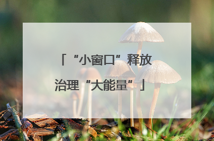 “小窗口”释放治理“大能量”