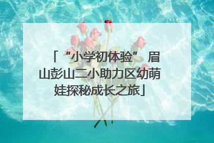 “小学初体验” 眉山彭山二小助力区幼萌娃探秘成长之旅