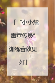 “小小禁毒宣传员”训练营效果好