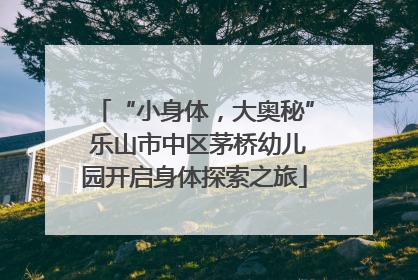 “小身体，大奥秘” 乐山市中区茅桥幼儿园开启身体探索之旅