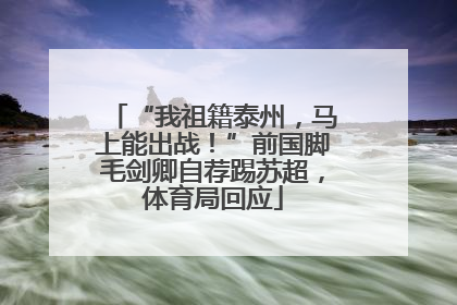 “我祖籍泰州，马上能出战！”前国脚毛剑卿自荐踢苏超，体育局回应