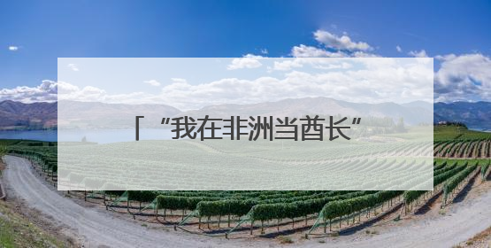 “我在非洲当酋长”！“90后”益阳小伙的创富非洲之路