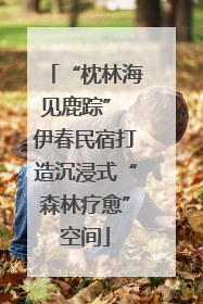 “枕林海见鹿踪” 伊春民宿打造沉浸式“森林疗愈”空间