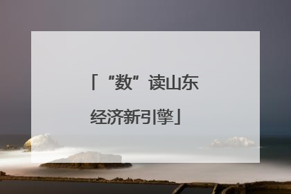 “数”读山东经济新引擎