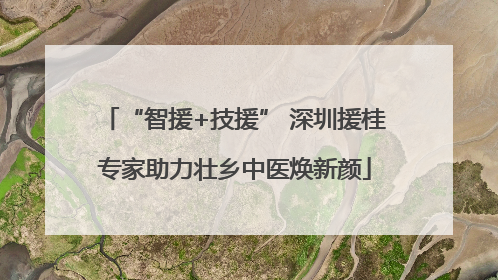 “智援+技援” 深圳援桂专家助力壮乡中医焕新颜