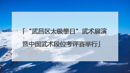 “武昌区太极拳日”武术展演暨中国武术段位考评赛举行