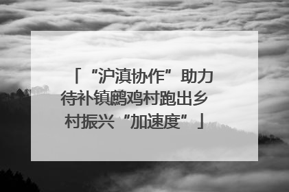 “沪滇协作”助力待补镇鹧鸡村跑出乡村振兴“加速度”