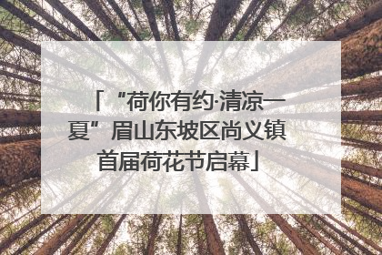 “荷你有约·清凉一夏”眉山东坡区尚义镇首届荷花节启幕