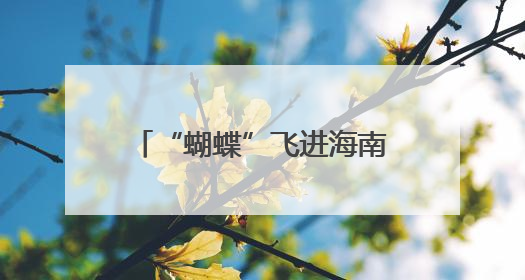 “蝴蝶”飞进海南 厦门大雨如注