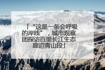 “这是一条会呼吸的岸线”，城市观察团探访百里长江生态廊道青山段